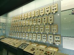 -浙江自然博物院(杭州馆)