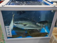 -西归浦每天偶来市场