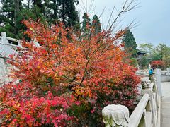 景点-径山寺
