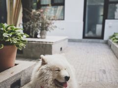 -北平小院设计酒店