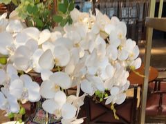 -南堂馆·新川菜(天府三街店)