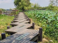 -焦岗湖旅游度假区