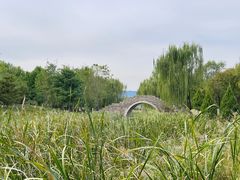 -北坞公园