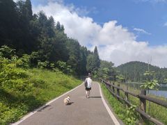 -武陵山森林公园