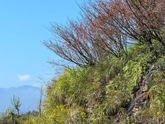 -丹山赤水风景名胜区