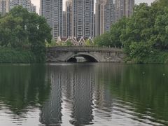-成都南湖公园
