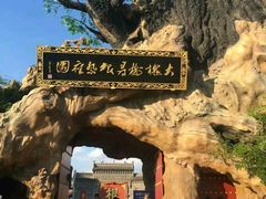-大槐树寻根祭祖园