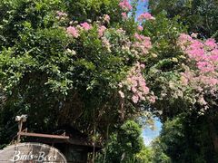 -卷心菜和避孕套餐厅(Pattaya)