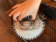 -蓝湾碧波·老字号·疍家非遗海上餐厅