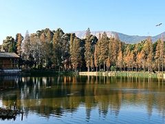 -云南民族村