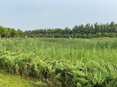 -北京美神宫艺术主题温泉酒店