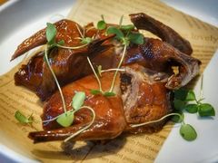 脆皮乳鸽-花舍·新派粤菜·西餐·下午茶(亚运村·鸟巢店)