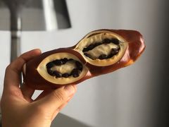 -稻田秋日式面包