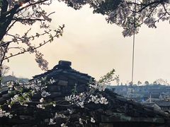 -许家山
