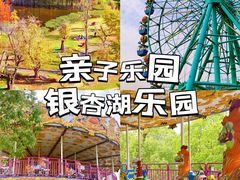 -南京银杏湖乐园