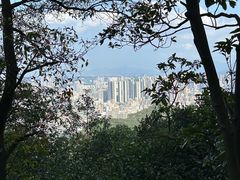 -阳台山森林公园