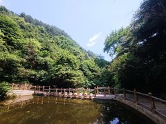 -王顺山国家森林公园