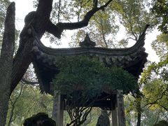 -天一阁博物院