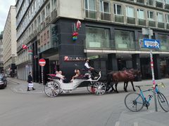 -斯蒂芬主教座堂(Stephansdom)