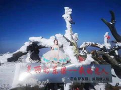 -秦岭风景区