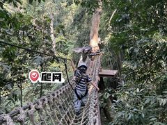 -西双版纳原始森林公园