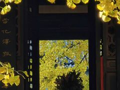 -青羊宫