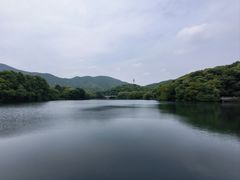 -杭州半山国家森林公园