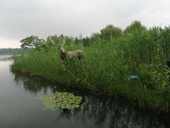 -溱湖国家湿地公园