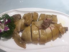 -圣丰盛宴酒家(东城店)