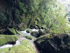 景点-武隆天坑地缝国家地质公园