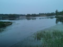 -马家湾湿地公园