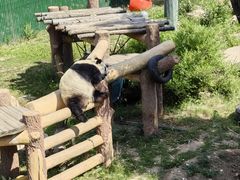 -沈阳森林动物园