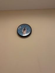 -奥丽维娅美容养生会所