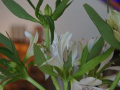 -Erman岩烧牛排(虹桥南丰城店)