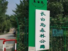 -长白岛森林公园