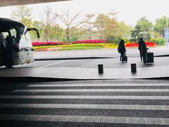 -厦门高崎国际机场-T3航站楼