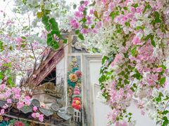 -深圳国际园林花卉博览园