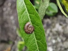 -英西峰林·洞天仙境