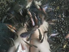 -厦门日月谷温泉渡假村