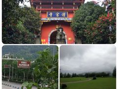 -铁山坪森林公园