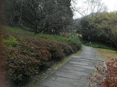 android_upload_pic-西湖茶墅