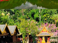 -西双版纳原始森林公园