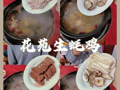 -花苑美食横琴生蚝火锅(拱北粤华路店)