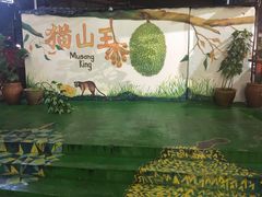 -都念榴莲·城市榴莲