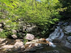 -燕子河大峡谷天坑仙境