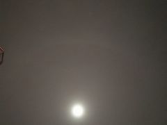 -素心斋素食餐厅