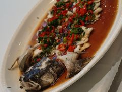 清蒸石斑魚-皇朝尊会(龙之梦大酒店)