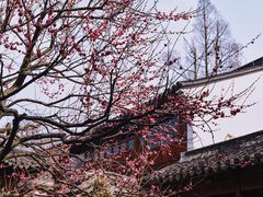 -郭庄景区