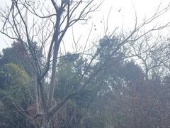 -云龙山