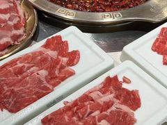 -知春路(地铁站)